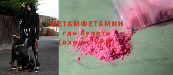 сатива Туринск