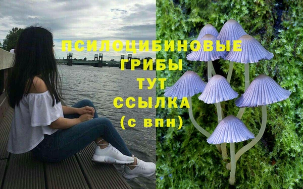 экстази Сафоново