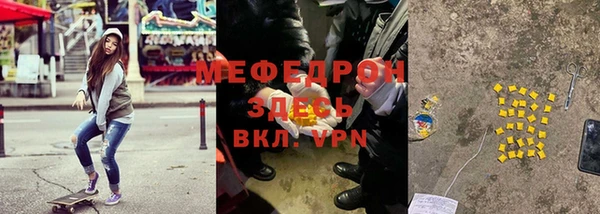 сатива Туринск