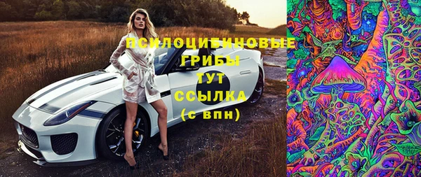 винт Бронницы