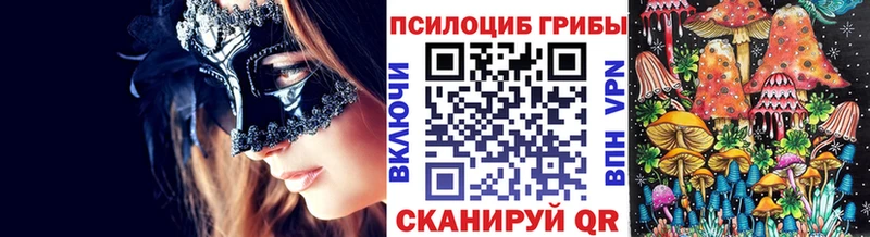 Галлюциногенные грибы GOLDEN TEACHER KRAKEN Джанкой