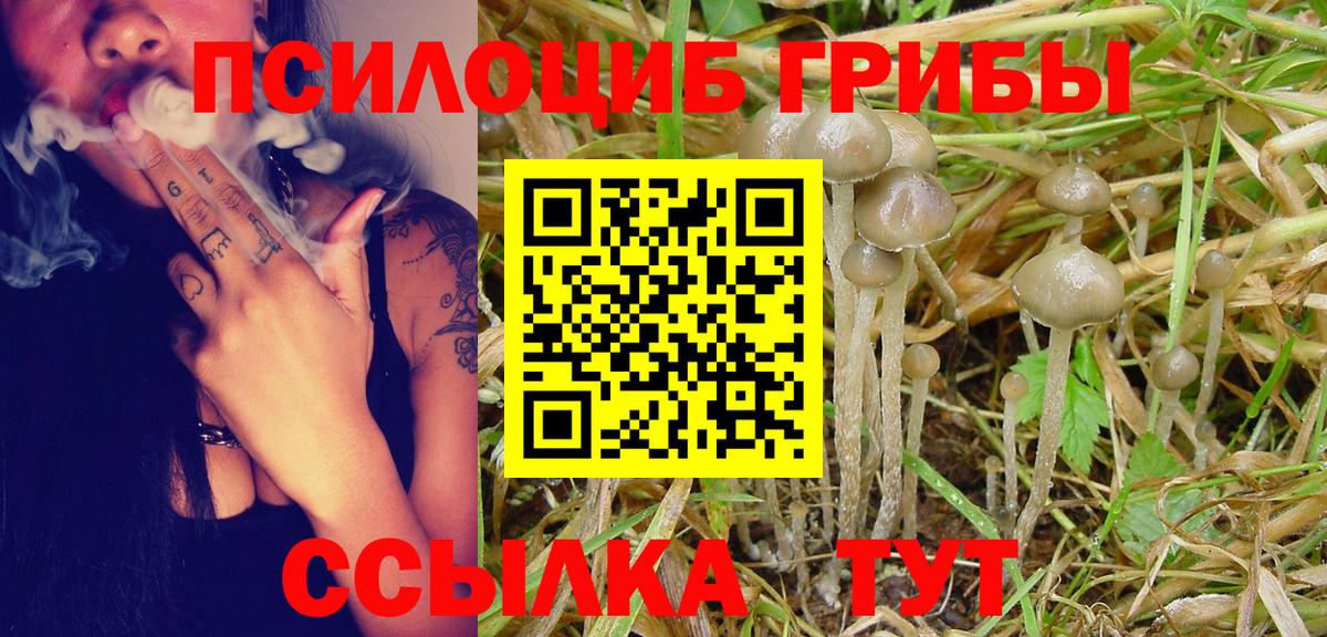 Псилоцибиновые грибы Cubensis Джанкой