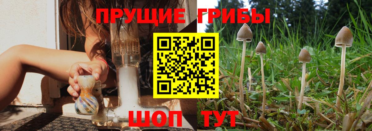 Псилоцибиновые грибы GOLDEN TEACHER  Вход с VPN  Джанкой 